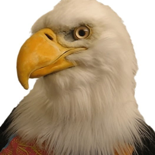 4e4573db8e67c268f69f54425a661c86